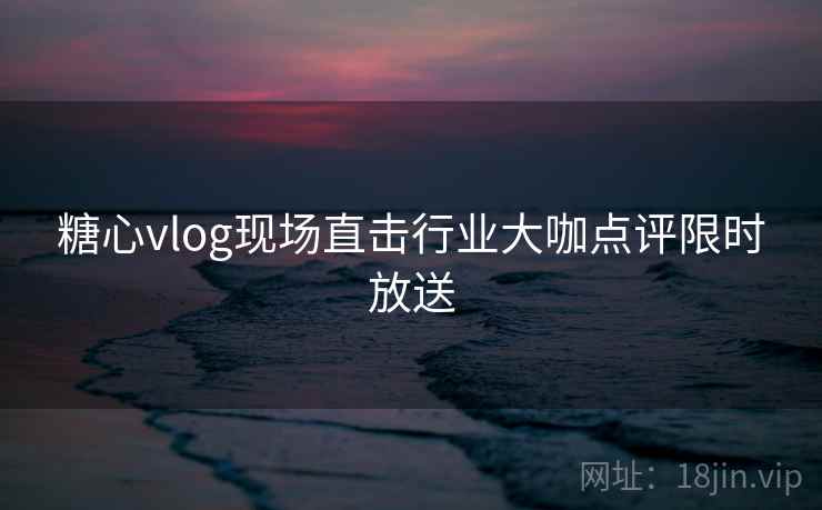 糖心vlog现场直击行业大咖点评限时放送