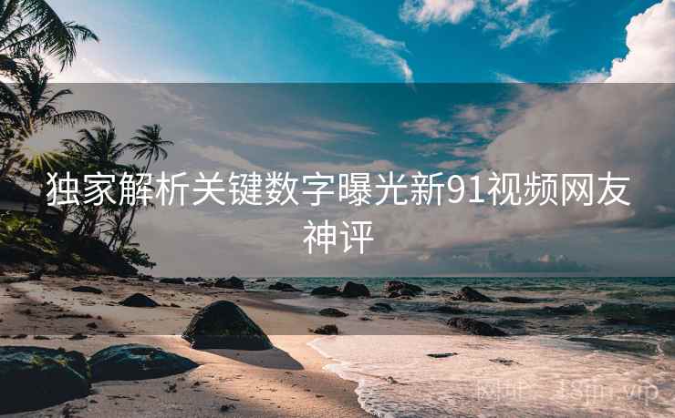 独家解析关键数字曝光新91视频网友神评