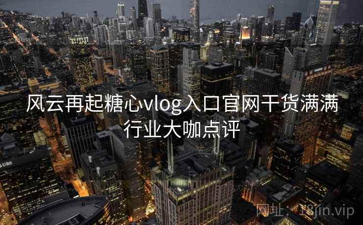 风云再起糖心vlog入口官网干货满满行业大咖点评
