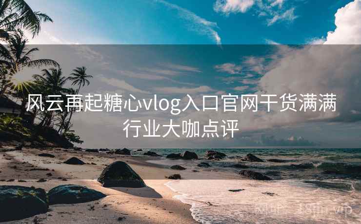 风云再起糖心vlog入口官网干货满满行业大咖点评