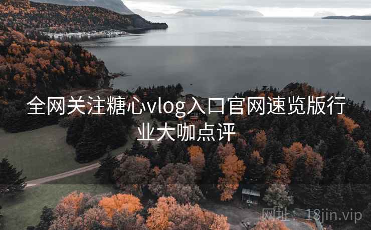 全网关注糖心vlog入口官网速览版行业大咖点评
