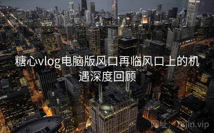 糖心vlog电脑版风口再临风口上的机遇深度回顾