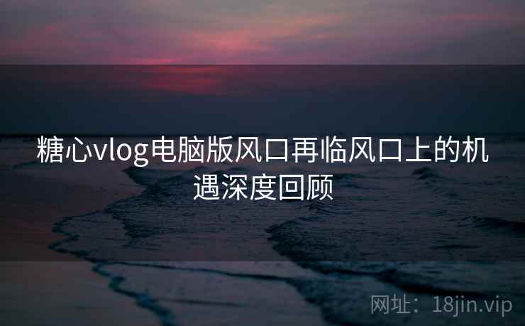 糖心vlog电脑版风口再临风口上的机遇深度回顾
