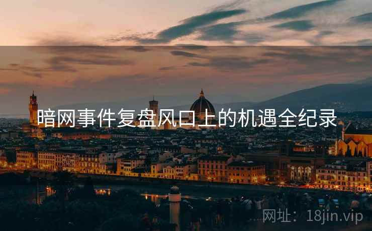 暗网事件复盘风口上的机遇全纪录
