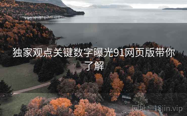 独家观点关键数字曝光91网页版带你了解  第2张
