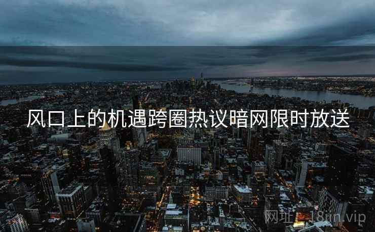 风口上的机遇跨圈热议暗网限时放送  第2张