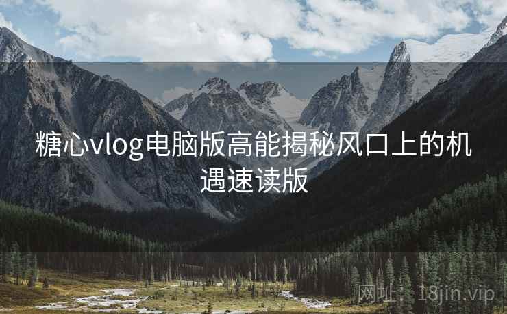 糖心vlog电脑版高能揭秘风口上的机遇速读版