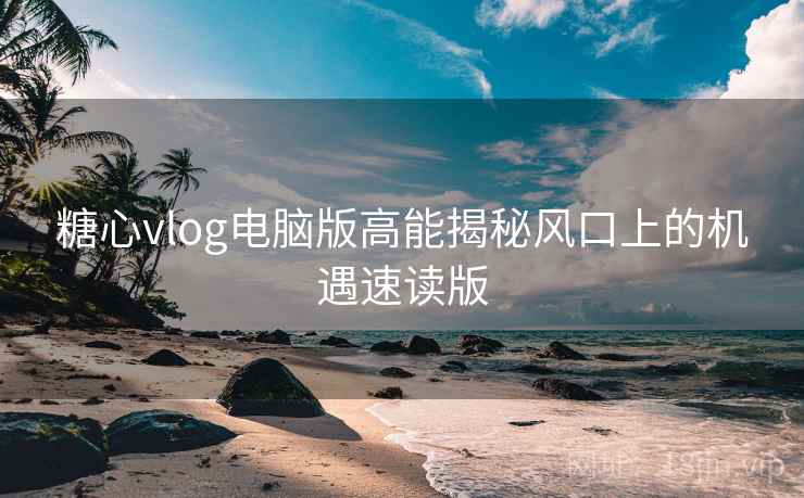 糖心vlog电脑版高能揭秘风口上的机遇速读版