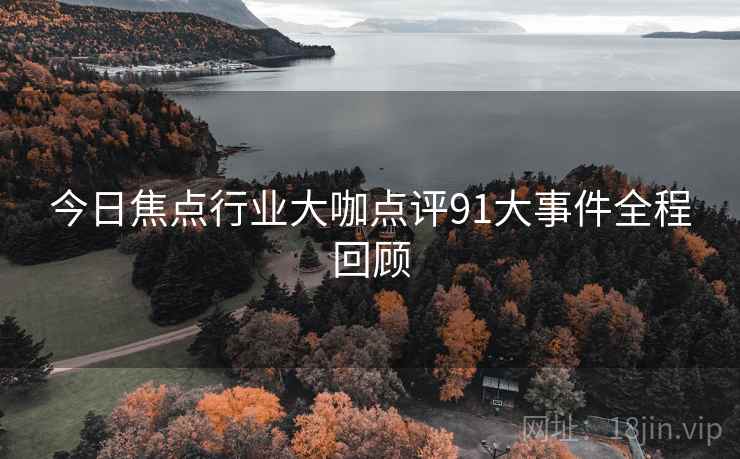 今日焦点行业大咖点评91大事件全程回顾