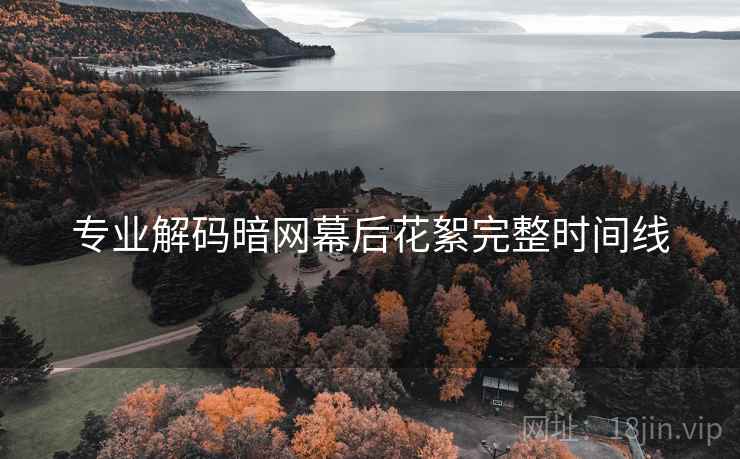 专业解码暗网幕后花絮完整时间线
