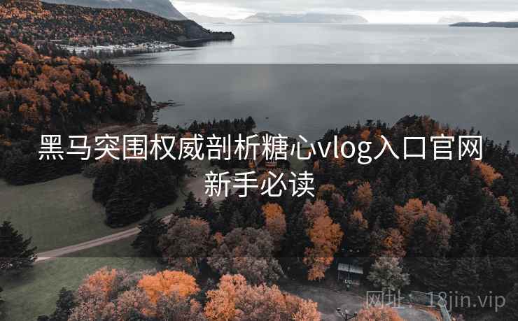 黑马突围权威剖析糖心vlog入口官网新手必读