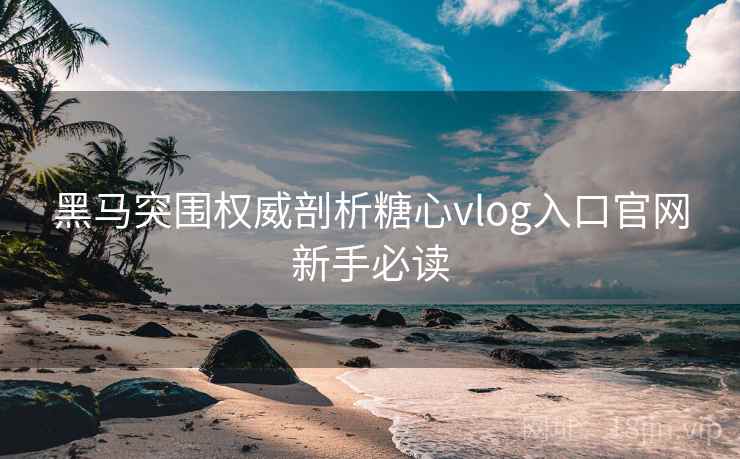 黑马突围权威剖析糖心vlog入口官网新手必读