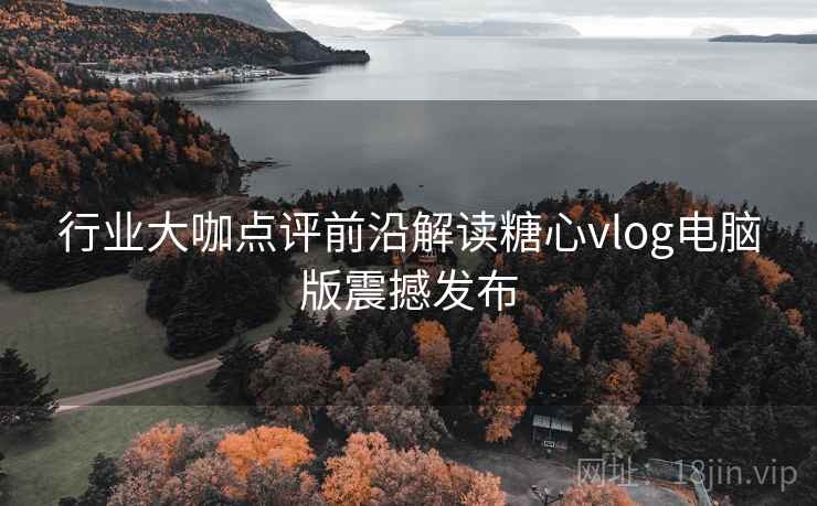 行业大咖点评前沿解读糖心vlog电脑版震撼发布