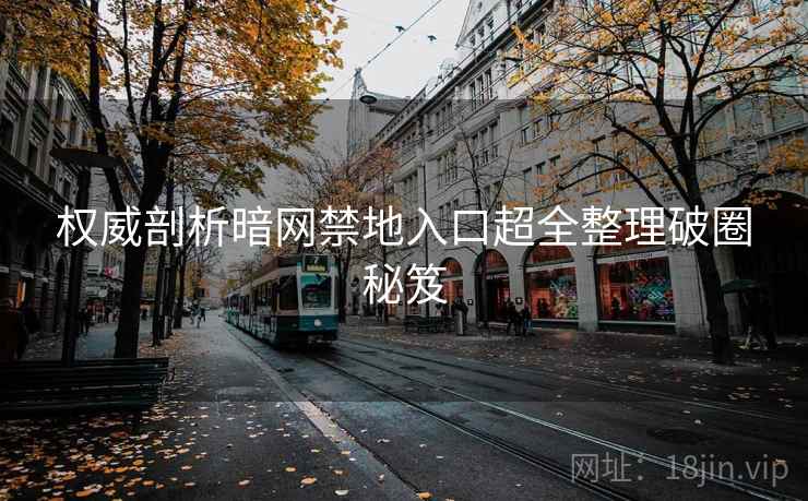 权威剖析暗网禁地入口超全整理破圈秘笈