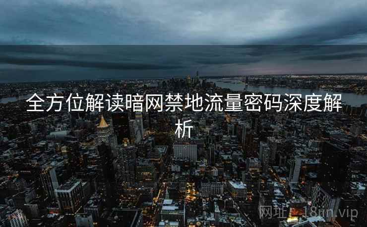 全方位解读暗网禁地流量密码深度解析