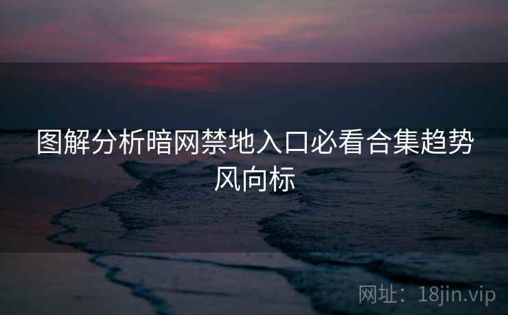 图解分析暗网禁地入口必看合集趋势风向标