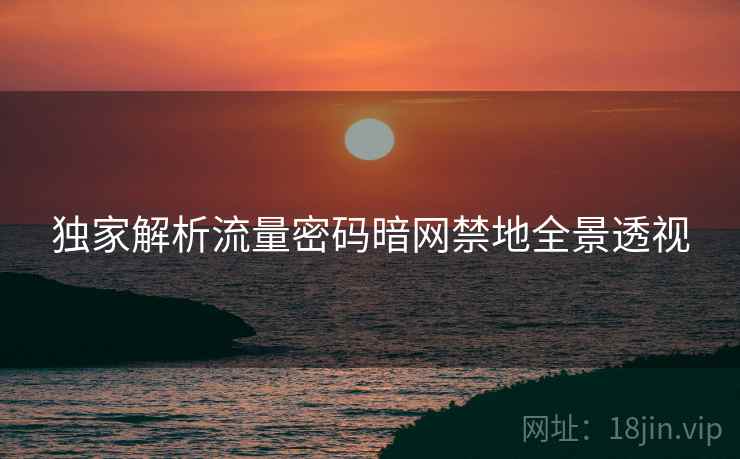 独家解析流量密码暗网禁地全景透视