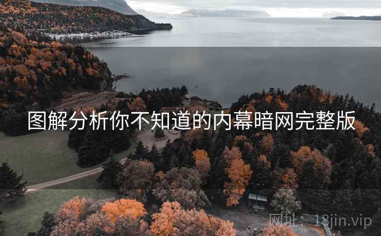 图解分析你不知道的内幕暗网完整版