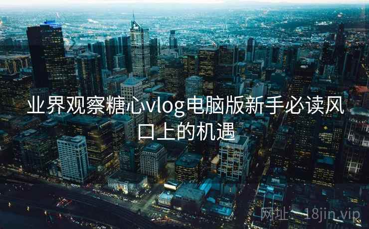 业界观察糖心vlog电脑版新手必读风口上的机遇