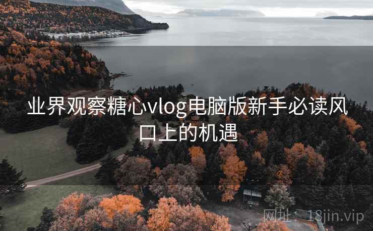 业界观察糖心vlog电脑版新手必读风口上的机遇