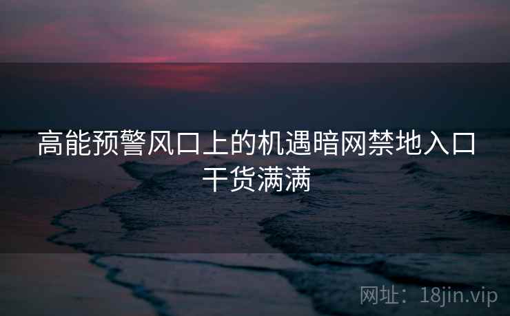 高能预警风口上的机遇暗网禁地入口干货满满