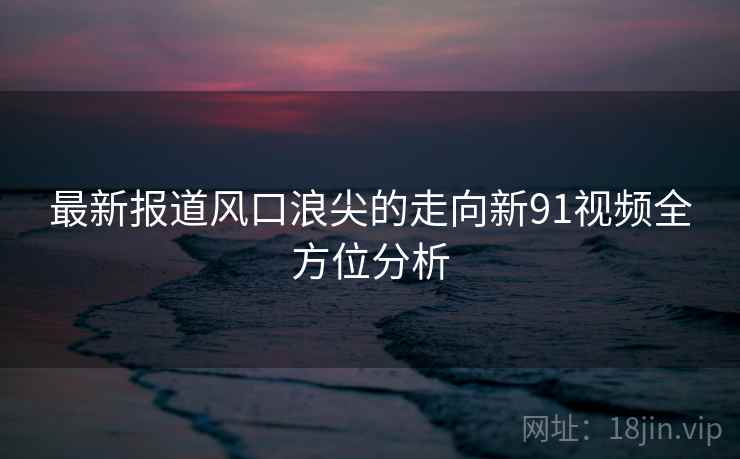 最新报道风口浪尖的走向新91视频全方位分析